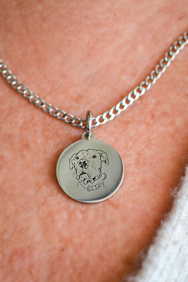 COLLAR ACERO QUIRÚRGICO PERSONALIZADO DE MASCOTA - Image 3