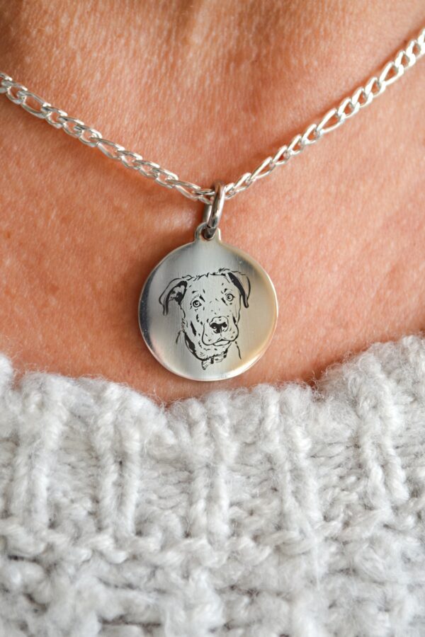 COLLAR ACERO QUIRÚRGICO PERSONALIZADO DE MASCOTA - Image 2